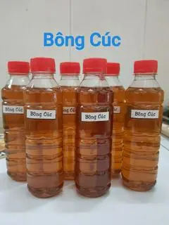 Hình ảnh Bông Cúc