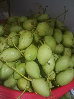 Hình ảnh Xoài Tươi còn vỏ trọng lượng 1 kg