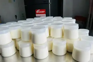 Hình ảnh Sữa chua phô mai