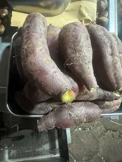 Hình ảnh Khoai lang luộc 