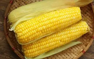 Hình ảnh 3 Ngô luộc 