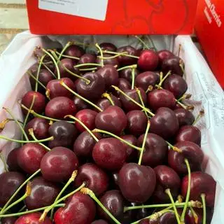 Hình ảnh chery mỹ