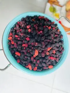 Hình ảnh Trà dâu