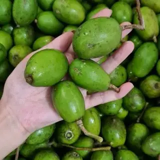 Hình ảnh Cóc chưa gọt