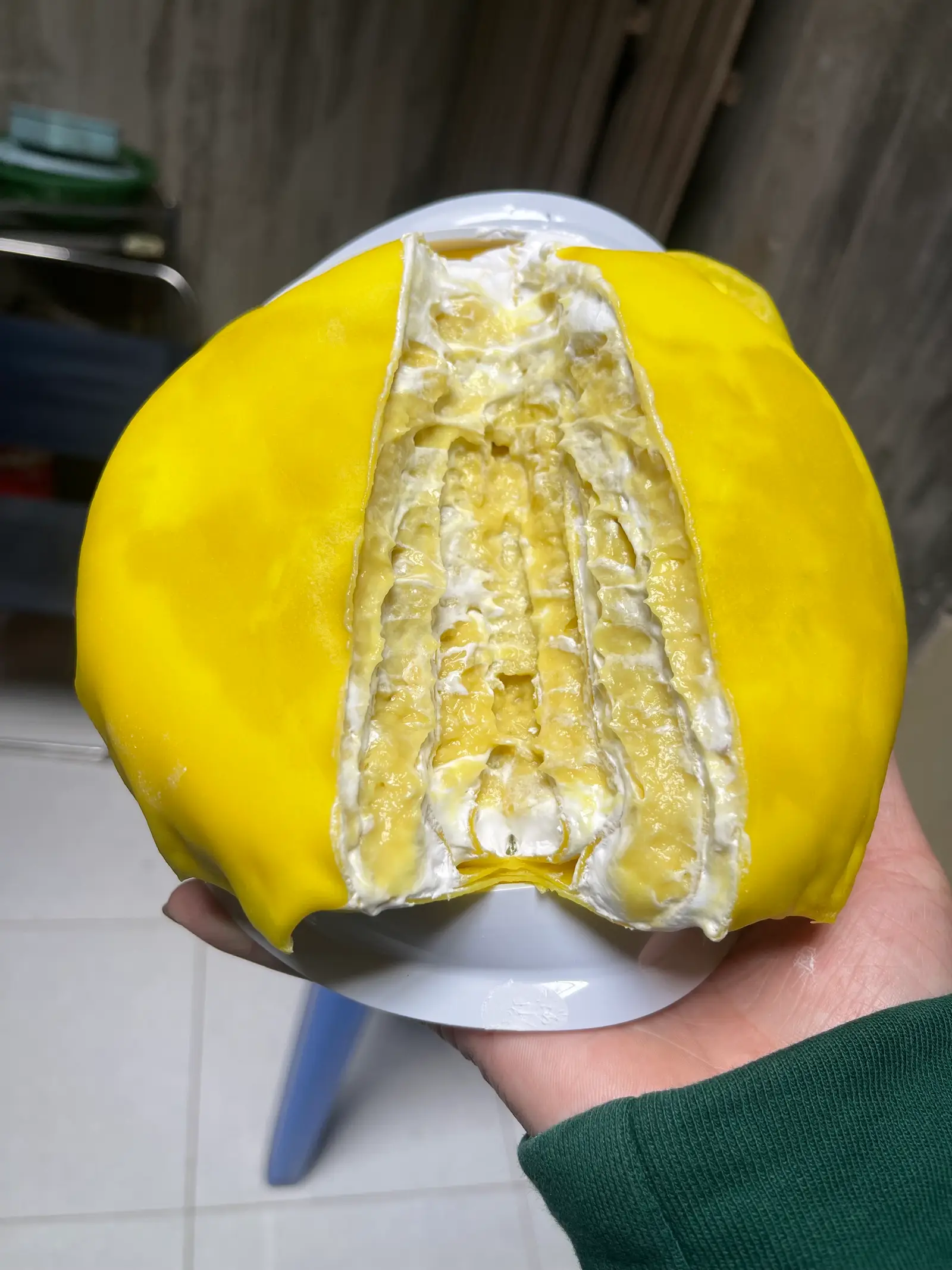 Hình ảnh Ngàn lớp sầu to - 16cm