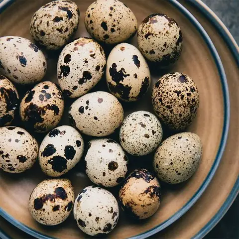 Hình ảnh Trứng cút luộc - 10 trứng
