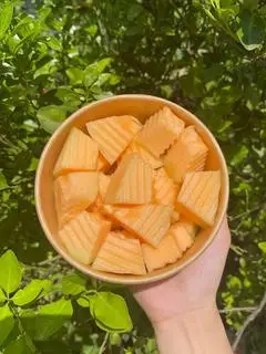 Hình ảnh Dưa lưới - 500g