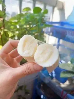 Hình ảnh sữa chua truyền thống