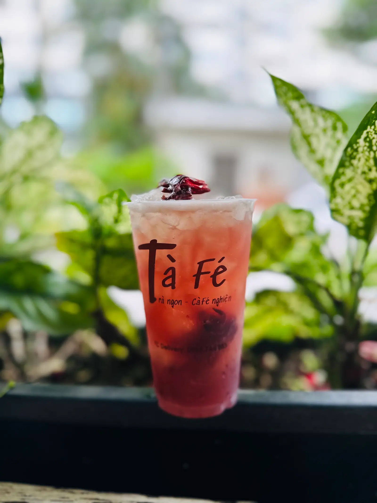 Hình ảnh Mộng