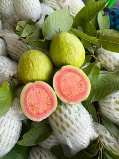 Hình ảnh ỔI RUỘT ĐỎ GIÒN NGỌT 