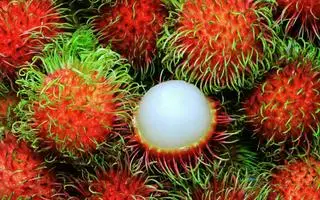 Hình ảnh Chôm Chôm ( 500g )