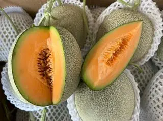 Hình ảnh Dưa Lưới Mật T1