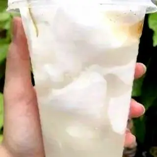 Hình ảnh Dừa ly khổng lồ