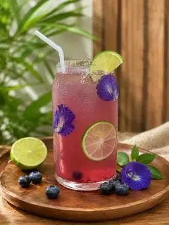 Hình ảnh Trà Olong Việt Quất 500ml