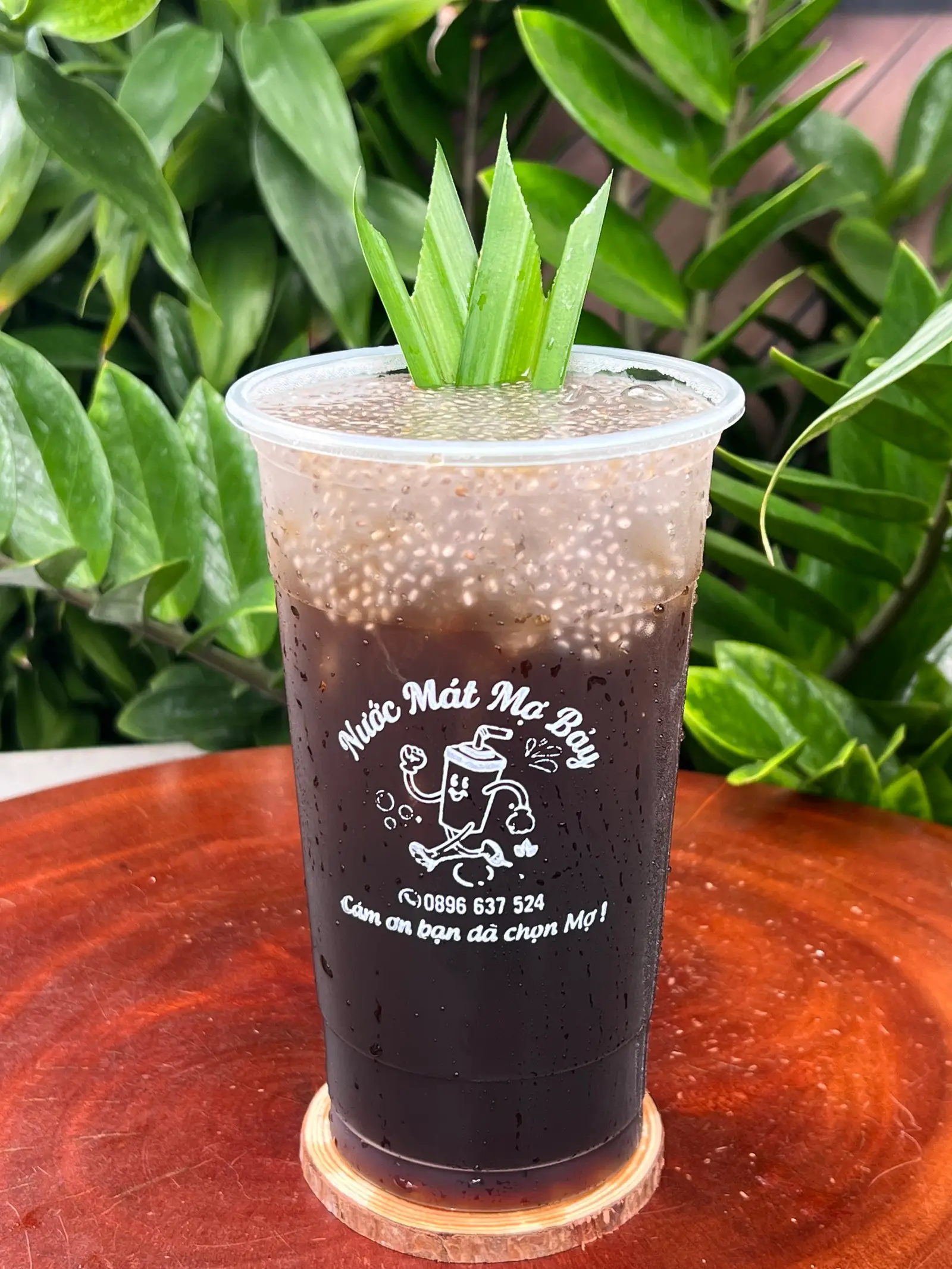 Hình ảnh Sâm Hạt Chia