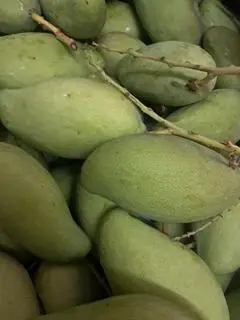 Hình ảnh ghép non có vỏ Trọng lượng 1 kg