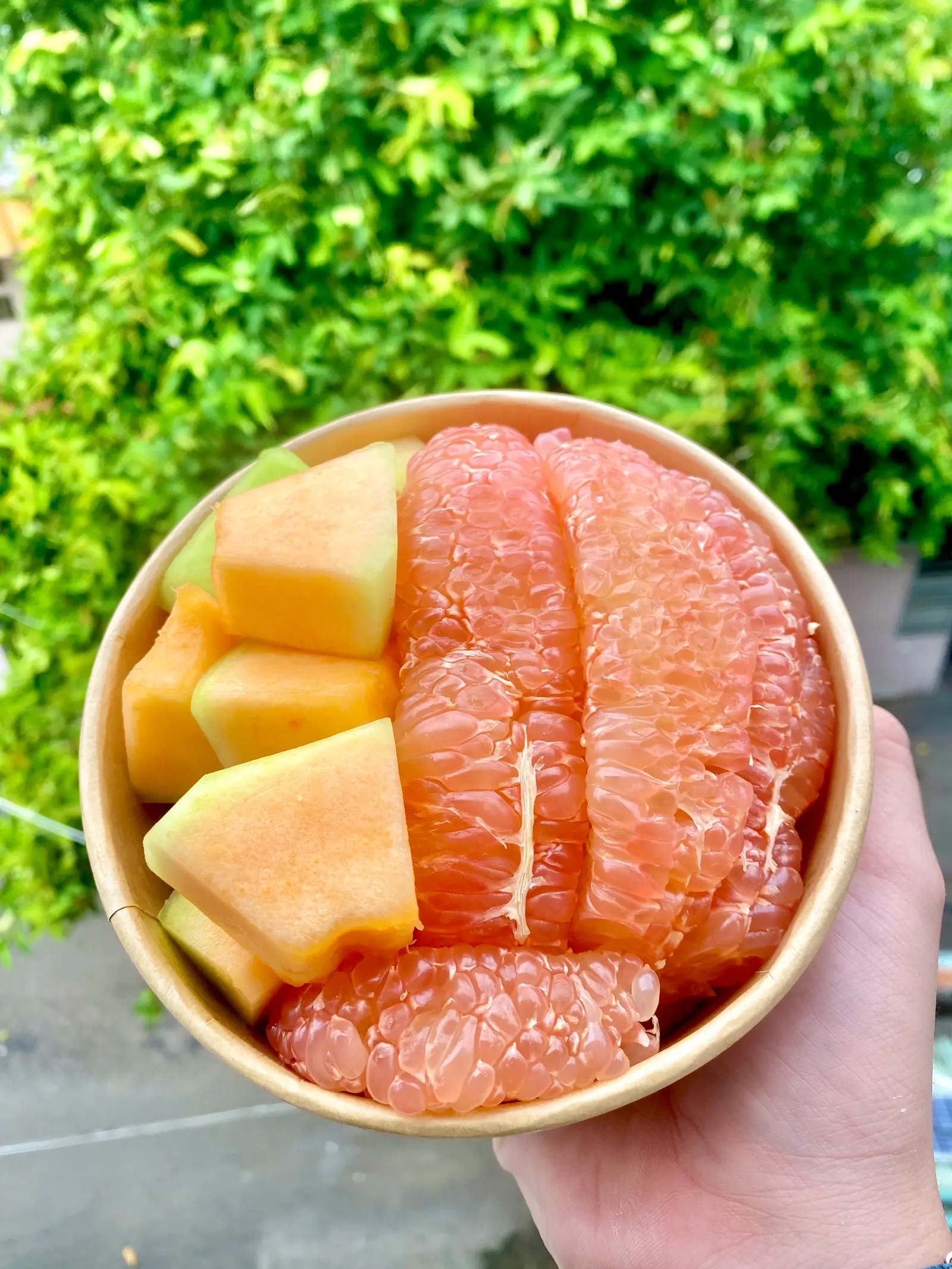 Hình ảnh Bưởi mix dưa lưới