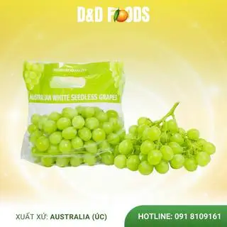 Hình ảnh Nho Xanh Không Hạt - Úc