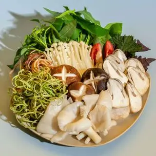 Hình ảnh Nấm Tổng Hợp