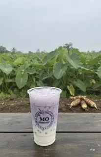 Hình ảnh Khoai Môn Latte