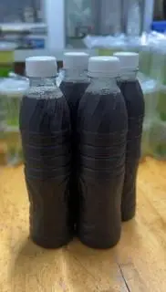 Hình ảnh Nước đỗ đen rang chai 500ml