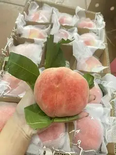 Hình ảnh ĐÀO TUYẾT LỆ GIANG