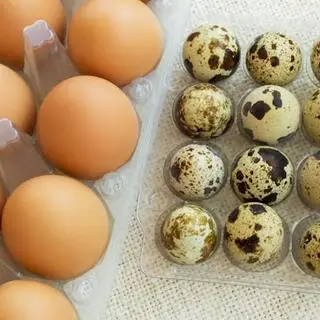 Hình ảnh Trứng Chấm Sốt Kèm Rau 