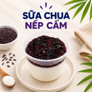 Hình ảnh SỮA CHUA NẾP CẨM