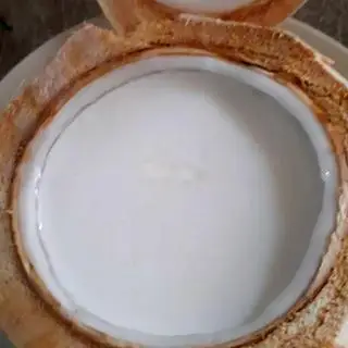 Hình ảnh Thạch Trái Dừa