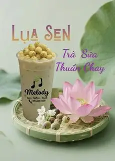 Hình ảnh Lụa Sen Signature