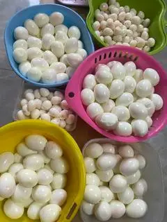 Hình ảnh TRỨNG CỨT CHIÊN
