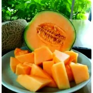 Hình ảnh 75.11 - dưa vàng loại 1 - loại ngon của quán - cắt gọt sẵn - 1kg
