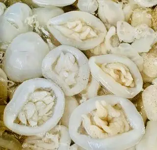 Hình ảnh 200gam Sứa Bánh Bao - Sứa Chén Mọng Nước