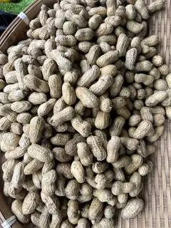 Hình ảnh đậu phộng hấp 