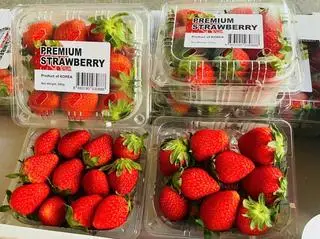 Hình ảnh dâu hàn/Korean strawberries