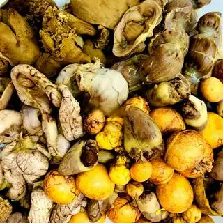 Hình ảnh Lòng mề trần giá - nhỏ