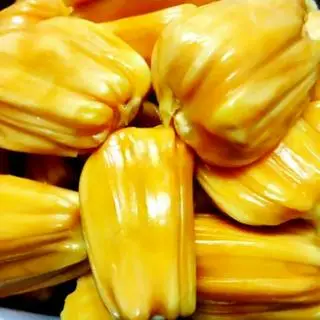 Hình ảnh 45.11 - mít nghệ tiền giang - bóc múi - 700g