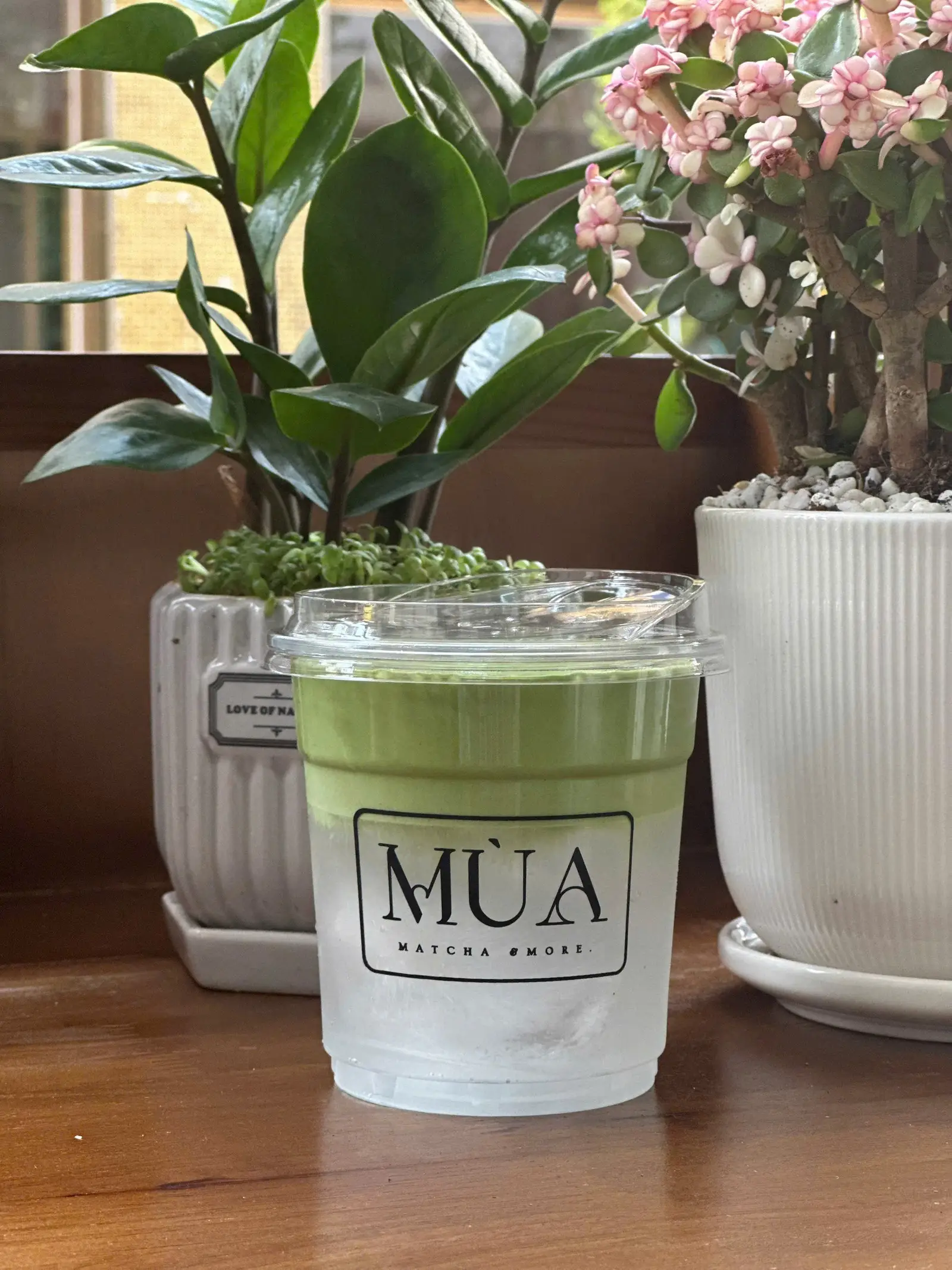 Hình ảnh Coconut Matcha