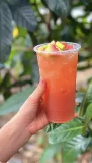 Hình ảnh Trà ổi hồng 500ml