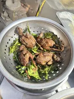 Hình ảnh Combo 3 nhỡ + 3 bé tặng 1 Cút Bé