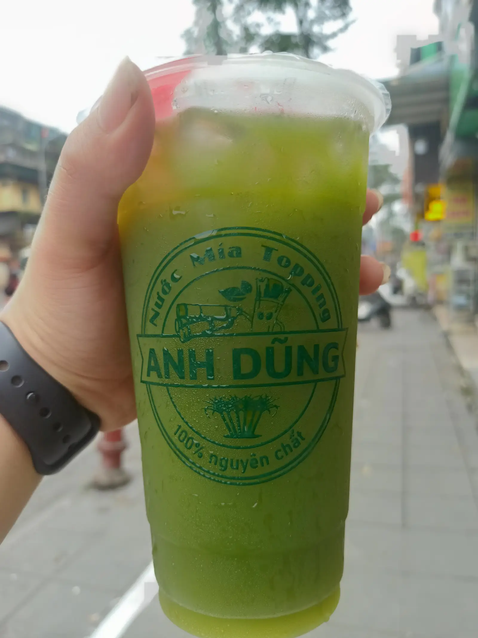 Hình ảnh Mía Rau Má