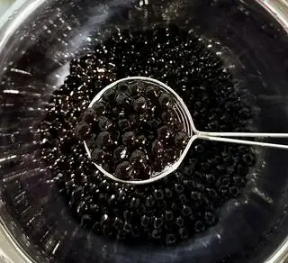 Hình ảnh Trân Châu Đen