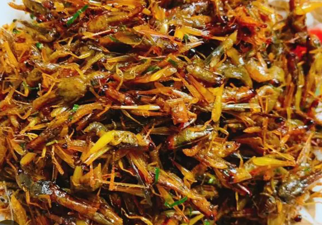 Hình ảnh châu chấu rang lá chanh 