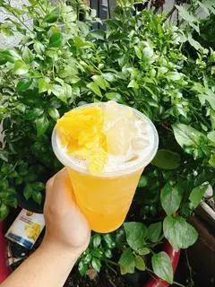 Hình ảnh Trà lài đác thơm