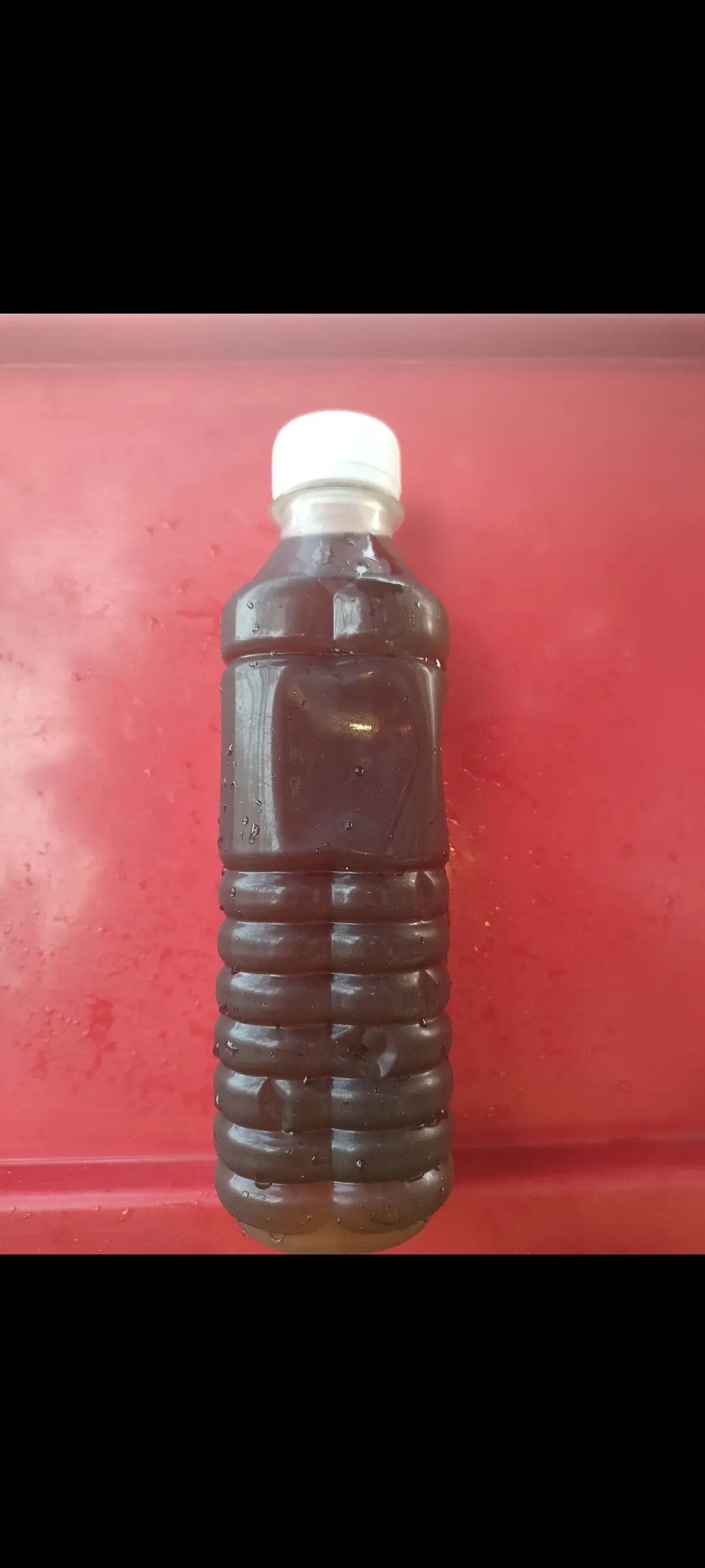 Hình ảnh Sâm lạnh