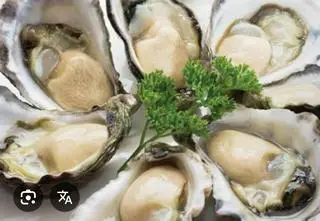 Hình ảnh 5 Hàu Nướng Mọi(10 tặng 1)