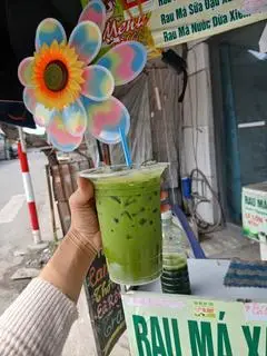 Hình ảnh Rau Má Sữa