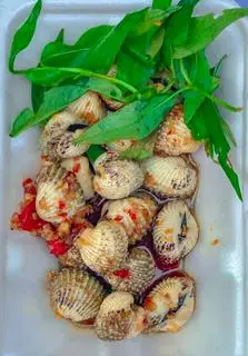 Hình ảnh Sò Huyết