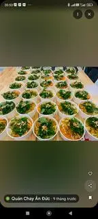 Hình ảnh Phở trộn chay