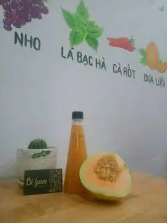 Hình ảnh Nước ép dưa lưới